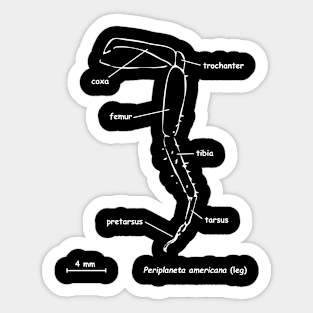 Cockroache leg, labeled, white Sticker